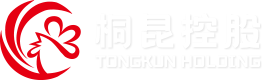 凯发一触即发官网集团股份有限公司